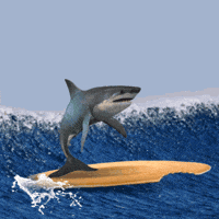 Digital art gif. Shark stands on its tailfin on a surfboard with a bite taken out of it, riding a big blue wave, while a man runs past in the foreground.