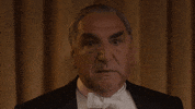 Eyebrow Raise Wow GIF by Downton Abbey