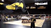 volleyball GIF by University of Iowa Hawkeyes Athletics