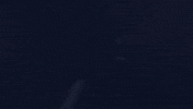 yaz tlktv GIF