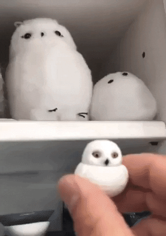 gif-vif giphyupload gifvif story of an owl GIF