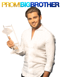 winner trophy Sticker by ProSiebenSat.1