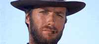 amazon tom GIF