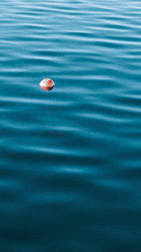 FFAviron rowing paris2024 remo mizuno GIF