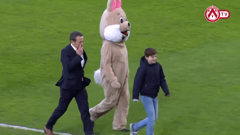 easter bunny football GIF by KV Kortrijk
