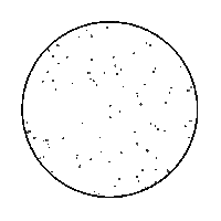 Colorado Buffaloes Space Sticker by weinventyou