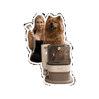 Dog Grooming Sticker by indigopetco