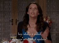 season 6 netflix GIF by Gilmore Girls 