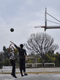projshitbox banyan phati phati banyan phatibanyan GIF