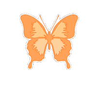 Orange Flying Sticker