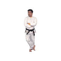Jiu Jitsu Kelvin Sticker by RIZE MMA