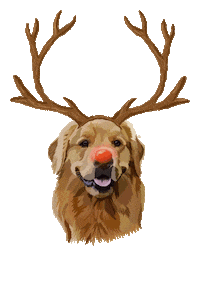 Merry Christmas Dog Sticker by Pet Print Ro