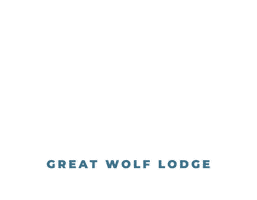 Celebrate Happy Birthday Sticker by Great Wolf Lodge