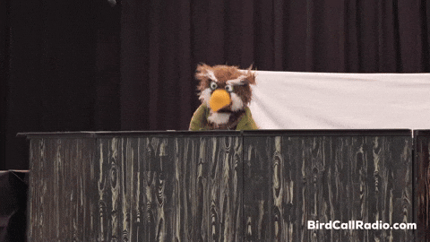 Book Read GIF