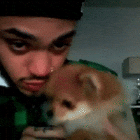 Travis Mccoy Joetrick GIF