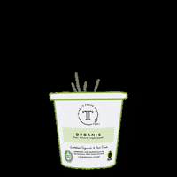 Leaping Bunny GIF by Tamara's Sugar