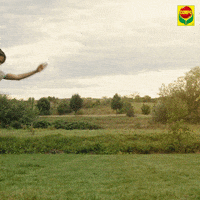 compo garden garten compo GIF