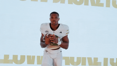 Georgia Tech Football Sport GIF by Georgia Tech Yellow Jackets
