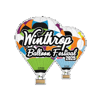 Hot Air Balloon Sticker by Seattle Ballooning