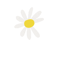 summeryuen flower gif artist daisy daisies Sticker