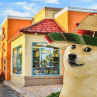 Tuesday Tacos GIF by Own The Doge