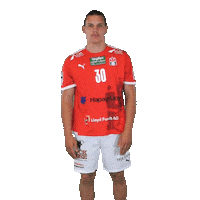 Sport Handball Sticker by HamburgHandball