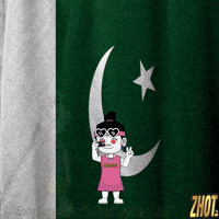 South Asia Pakistan GIF by Zhot