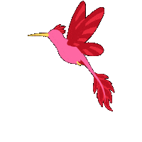 Picaflor Sticker
