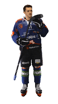 Ice Hockey Sport Sticker by Rittner Buam