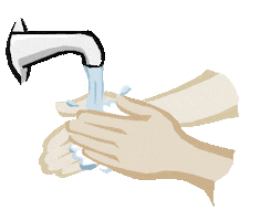 wash STICKER