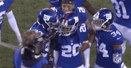 2018 Nfl Football GIF by NFL