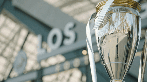 Mls Cup Football GIF by Major League Soccer