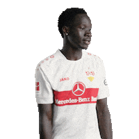 Dance Dancing Sticker by VfB Stuttgart
