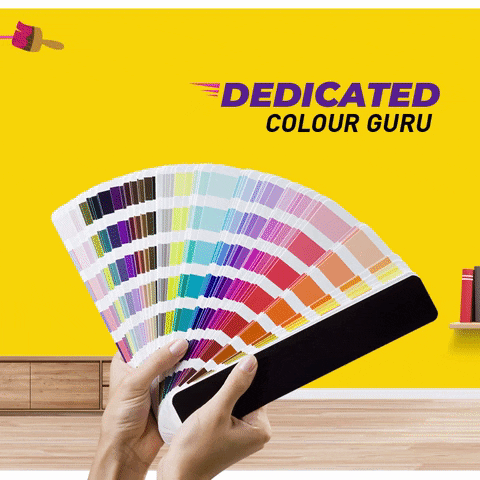 Berger Express Painting GIF by Berger Paints India