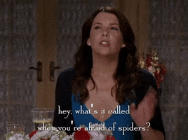season 6 netflix GIF by Gilmore Girls 