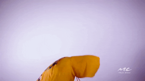 Lets Go Reaction GIF by Music Choice