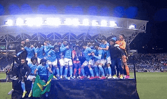 New York City Win GIF by Major League Soccer