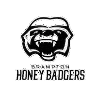 Basketball Nba Sticker by Brampton Honey Badgers