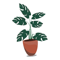 OnlineJungle green plant plants leaves Sticker