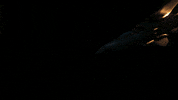 Playstation 4 Game GIF by Naughty Dog