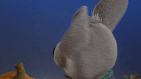 Take Two What GIF by Chuck E. Cheese