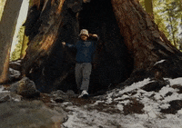 Ditto GIF by Aries