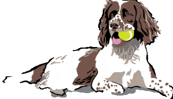 Fetch Best In Show Sticker by Vera Bradley
