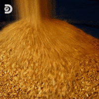 GIF by Discovery Europe