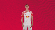 Oh Yeah Yes GIF by RB Leipzig