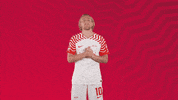 Football Wow GIF by RB Leipzig