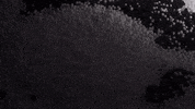 vrammsthevale  GIF