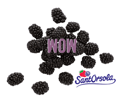 Mora Healty Sticker by Sant'Orsola
