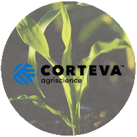 cortevaus farmer corn farming corteva Sticker