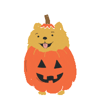 Dog Halloween Sticker by Carter's Babies and Kids